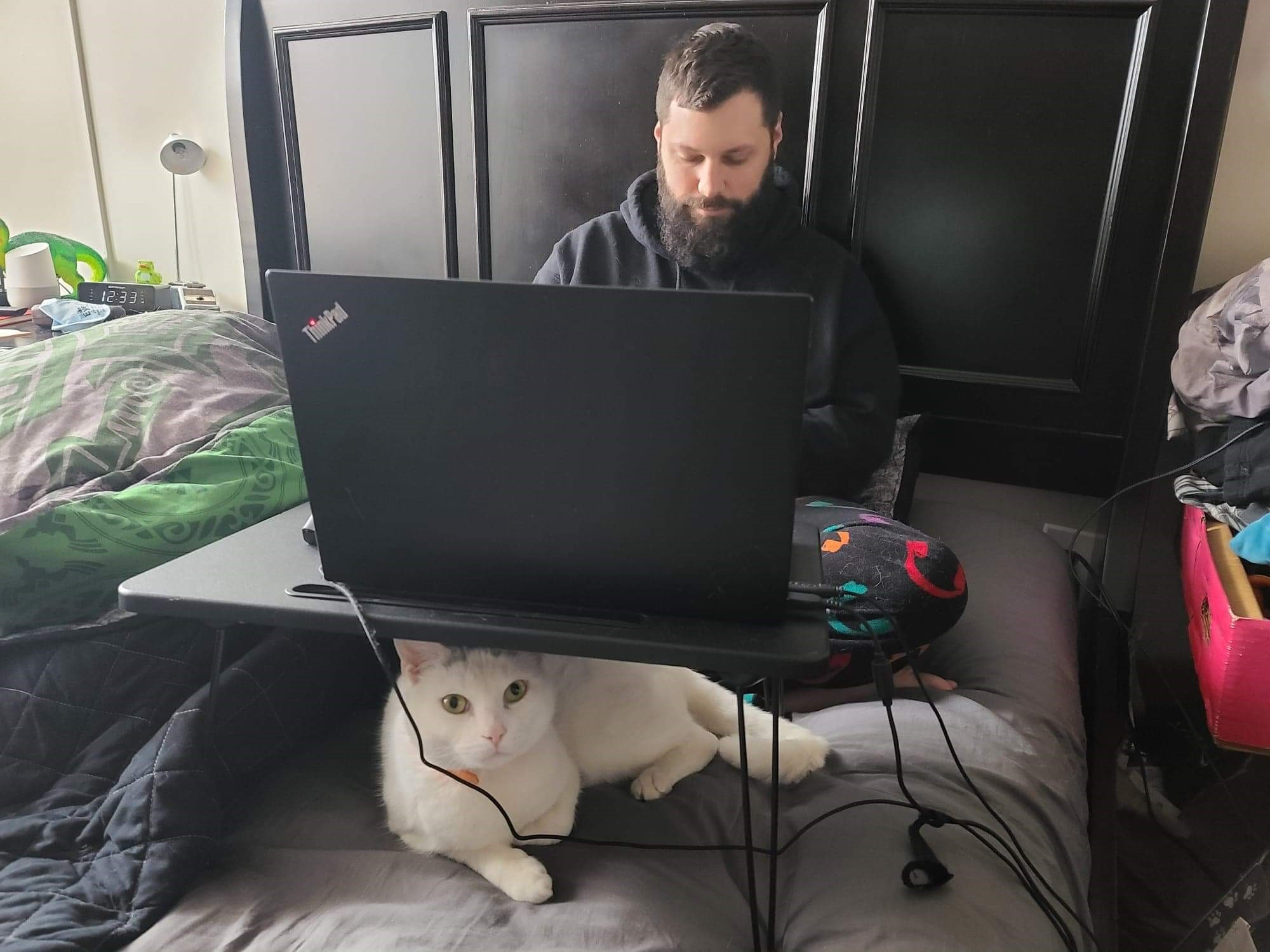 A man and a cat sitting on a bed with a laptop
